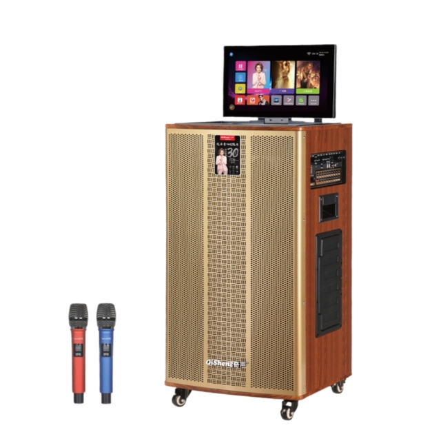 15 Inch Three-way Multifunctional Speaker with 15.1 Inhc LCD Screen