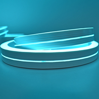 Bandes lumineuses LED néon colorées 5 mètres DIY avec détecteurs de mouvement pour la décoration de Noël, d'anniversaire, de mariage et de fête