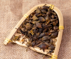 Tiêu chuẩn nhà máy chiết xuất <span class=keywords><strong>forsythia</strong></span> Fructus khóc lóc <span class=keywords><strong>forsythia</strong></span> chiết xuất bột - Product Image 2