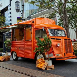 ग्रिल ट्रक खाद्य ट्रक Full सुसज्जित आइस क्रीम खाद्य वैन हरियाणा मोबाइल रसोई रेस्तरां आइसक्रीम गाड़ी