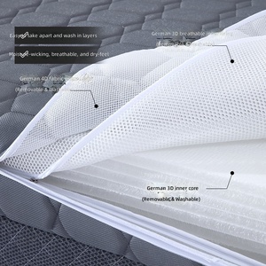 Materasso a molle 3D in tessuto cinese, spessore 20 cm, 15/18 metri, doppia rigidità, ecologico, traspirante, in fibra di cocco e lattice, per camera da letto - Product Image 4