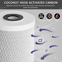 Cartouche de filtre à eau en bloc de charbon actif CTO de qualité alimentaire, 10 pouces, 20 pouces, pour système de filtration d'eau RO sous évier