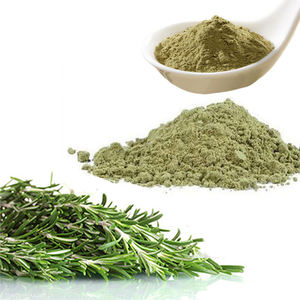 Rosmarinus officinalis L. Poudre acide Carnosic CAS d'extrait de <span class=keywords><strong>Romarin</strong></span> Rosemarinus Rosemarinus 3650 - Product Image 1
