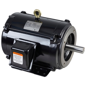 Motor de Inducción Trifásico BIOTE NEMA, Eficiencia IE2, Carcasa 56, 3450 RPM, 230V, 3.5HP, Totalmente Cerrado, Acero Laminado, Bomba de Chorro - Product Image 1