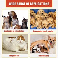 Poudre hémostatique moderne et écologique pour chiens et chats, traitement des plaies et des saignements des ongles, temps de charge de 1 heure, nettoyage rapide, soulagement de la douleur