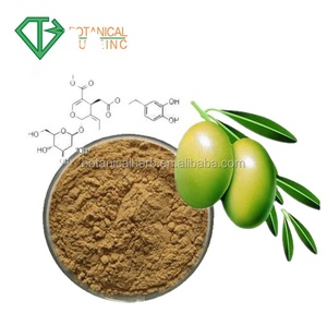 Poudre <span class=keywords><strong>d</strong></span>'extrait de feuille <span class=keywords><strong>d</strong></span>'<span class=keywords><strong>olivier</strong></span> de qualité alimentaire, Olea Europaea, 20% 40% oléuropéine - Product Image 5