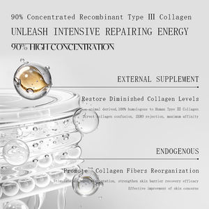 Apósito de Colágeno Recombinante Médico al por Mayor de Fábrica con Tela No Tejida para el Cuidado de Heridas - Product Image 4