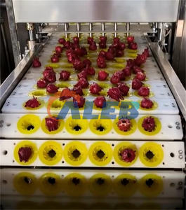 Macchina elettrica per la deseeding della gola della signora ibisco sabdariffa roselle - Product Image 5