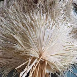 Feuilles de palmier séchées naturelles, plantes de pampa teintes et préservées, fleurs séchées en gros, grandes fleurs séchées pour mariage, décoration bohème à la maison - Product Image 3