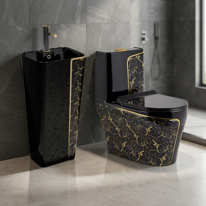 WC monobloc luxueux Vistaar avec lavabo mural suspendu, ensemble de salle de bain coloré, WC, commode, articles sanitaires - Product Image 4