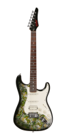 Gitar dengan Leher & Fretboard Maple Karbonisasi Kelas Profesional Hz Pro-Grade dengan Body PC untuk Pertunjukan Langsung dan Penggunaan di Studio