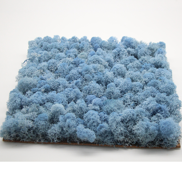 Bleu clair