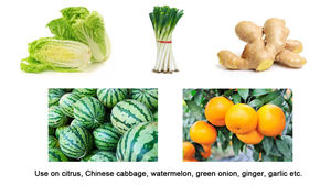 Arbres fruitiers de grandes cultures Source végétale Base engrais riche acide aminé humique améliorer la racine pourrie - Product Image 5