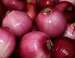 Prix du produit frais de bonne qualité nouvel approvisionnement anneau d'<span class=keywords><strong>oignon</strong></span> de légumes <span class=keywords><strong>surgelés</strong></span> IQF - Product Image 3