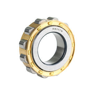 แบริ่งลูกกลิ้งทรงกระบอกไม่มีวงแหวนรอบนอก RN203 RN204 RN206M RN307M RN205E RN308 RN309E RN312 RN219 RN222 RN228 - Product Image 1