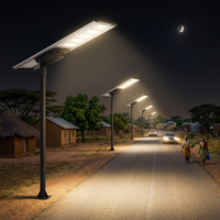 Lampadaire solaire éco-responsable à économie d'énergie 190LM/W Haute efficacité Puces LED Bridgelux 5050 Éclairage large zone 140 °