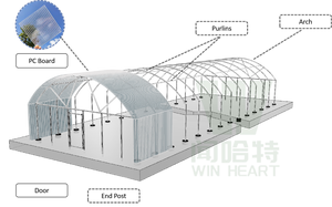 Serre d'élevage piscicole <span class=keywords><strong>intérieur</strong></span> avec couverture en film PE transparent, structure galvanisée à chaud, garantie 15-20 ans, 9x30M pour l'<span class=keywords><strong>aquaculture</strong></span> - Product Image 6