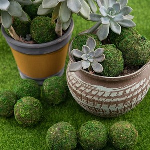 Bola de musgo <span class=keywords><strong>Marimo</strong></span> seca de tamaños personalizados, para decoración de mesa en el hogar, en el exterior - Product Image 4