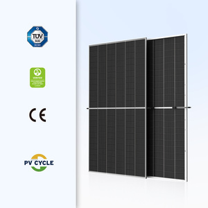 Panneaux solaires Trina Solar 720w Tiger Neo TSM-NEG21C.20 715W 725w 730w Mono Perc Demi-cellules Double vitrage 725 Watts Module solaire photovoltaïque - Product Image 3