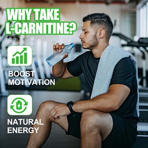 Líquido Oral de L-Carnitina OEM ODM con Ácido Pantoténico que Mejora la Recuperación Muscular y Convierte los Ácidos Grasos en Combustible - Product Image 5