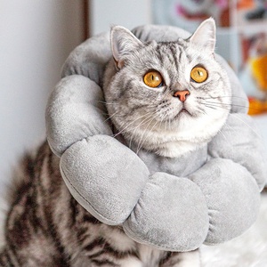 <span class=keywords><strong>Collare</strong></span> di Recupero Regolabile <span class=keywords><strong>per</strong></span> <span class=keywords><strong>Gatti</strong></span> Sunflower Elizabeth, Morbido <span class=keywords><strong>Collare</strong></span> Post-Operatorio <span class=keywords><strong>per</strong></span> Cuccioli e <span class=keywords><strong>Gatti</strong></span>, Cuscino <span class=keywords><strong>per</strong></span> il Collo del Gatto <span class=keywords><strong>per</strong></span> Prevenire il Leccamento - Product Image 4