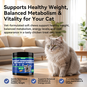 Bocadillos Masticables <span class=keywords><strong>para</strong></span> Gatos con Control de Peso, Marca Privada al por Mayor, Metabolismo Natural, Supresor del Apetito, Sin Granos, con Psyllium Husk - Product Image 3