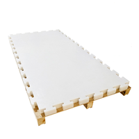 Panneau coulissant de qualité supérieure en Uhmwpe, patinoire synthétique en polyéthylène à entretien élevé et zéro pour les sports d'intérieur et d'extérieur