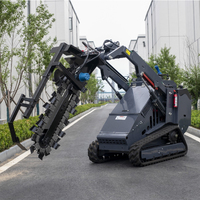 Livraison Gratuite Chargeuse Compacte Diesel Mini-Chargeuse sur Chenilles Moteur Conforme EPA Pas Chère Fournisseur Chinois Mini-Chargeuse à Vendre