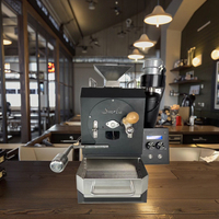 Torréfacteur de café automatique, mini-machine électrique de torréfaction d'échantillons de grains de café pour café et cuisine