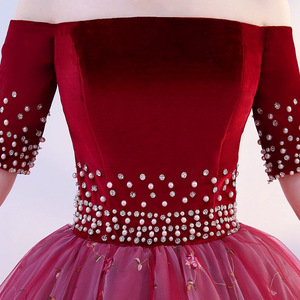 Elegant Off Shoulder Tulle Dress Long Skirt Performance Wear For Stage Women Adult - Product Image 3