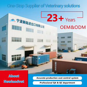 Mạ kẽm gà ăn kim loại gia cầm trung chuyển với xử lý - Product Image 4