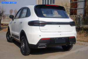 Voiture électrique à faible vitesse écologique YL à 4 roues, moteur 3500W-5000W, zéro émission, autonomie de 101 à 200 km, fonctionnement silencieux - Product Image 4