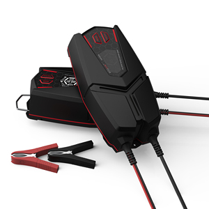 Chargeur de batterie de voiture 12V 24V 2A/4A/8A, avec écran LCD, mainteneur et désulfateur pour voiture, camion, batteries AGM, plomb-acide, lithium, IP65 - Product Image 3