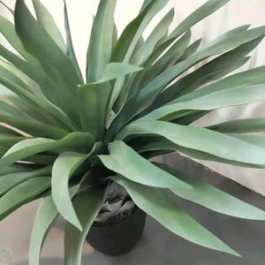 Paisaje de las plantas de <span class=keywords><strong>interior</strong></span> o al aire libre decoración falso plantas de <span class=keywords><strong>Agave</strong></span> - Product Image 2