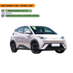 2025 Smart EV Car 39kWh New Energy Vehicles 4 roues SUV BYD Seagull - Product Image 1