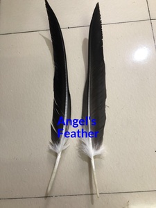 Plumes d'aigle naturelles noires de <span class=keywords><strong>grande</strong></span> taille, de haute qualité, matériau brut pour le pliage d'arbalètes, ailettes de couteau, garnitures de bijoux DIY - Product Image 4