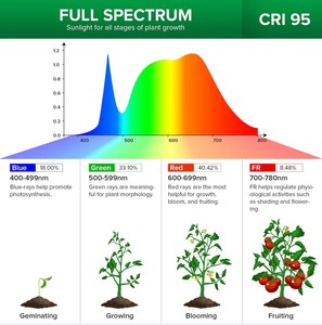 Nouvelle lampe <span class=keywords><strong>LED</strong></span> à pince à spectre complet pour plantes succulentes, <span class=keywords><strong>semis</strong></span>, éclairage de croissance des plantes, lampes de culture - Product Image 6