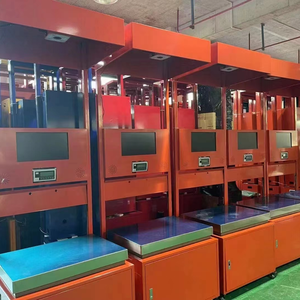 Konveyör bant sistemi için konveyör bant endüstriyel otomatik Dws makinesi statik boyutlandırma tartım Dws sistem tasarımı - Product Image 4