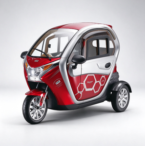 Nouveau <span class=keywords><strong>Tricycle</strong></span> Électrique 2000W à Deux Portes et Trois Places Entièrement Fermé pour Adultes ; Scooter de Mobilité pour Personnes Âgées ; Véhicule - Product Image 4