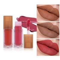 Gloss à lèvres liquide mat longue tenue, couleur intense, anti-transfert, taille standard, pour l'export.