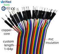 كابل شريطي ملون OEM من دوبونت 2.54 مم 2~40 سن أنثى 10 سم للسيارات بغلاف PVC مقاوم للماء IP68 موصل نحاسي 50 فولت