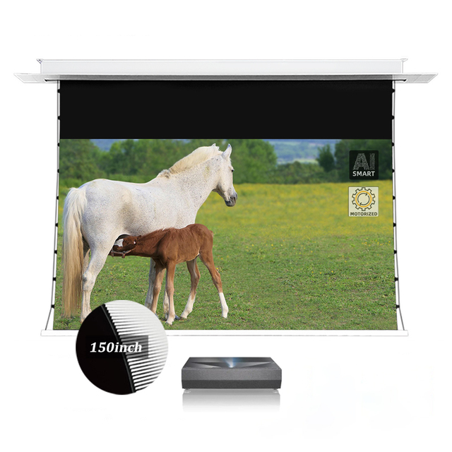 72"~150" T-Prism Black Crystal Grid UST Tab Tension Recessed Ceiling AlR 16:9 Electric Non-Personalized Projection Screens