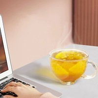 Cubes de thé aux fruits lyophilisés nutritifs Myrtille Rose Hibiscus Fraise Goyave pour infusion chaude ou froide