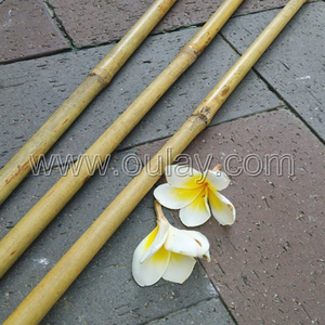 Poteaux durables en bambou Tonkin à paroi épaisse pour soutenir les plantes - Product Image 3