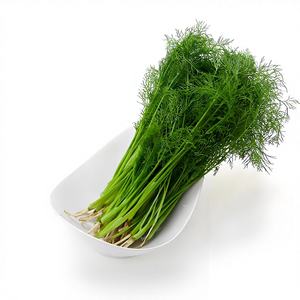 <span class=keywords><strong>Poudre</strong></span> <span class=keywords><strong>de</strong></span> flavonoïdes <span class=keywords><strong>de</strong></span> <span class=keywords><strong>fenouil</strong></span> <span class=keywords><strong>de</strong></span> haute qualité en gros, 10%, extrait <span class=keywords><strong>de</strong></span> <span class=keywords><strong>fenouil</strong></span> en <span class=keywords><strong>poudre</strong></span>, extrait d'herbes naturel pur <span class=keywords><strong>de</strong></span> qualité alimentaire en provenance <span class=keywords><strong>de</strong></span> Chine - Product Image 2