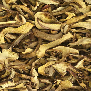 Precioso hongo salvaje <span class=keywords><strong>Boletus</strong></span> auripes seta seca natural <span class=keywords><strong>Boletus</strong></span> auripes a la venta - Product Image 6