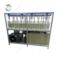 Équipement de traitement de l'eau pour l'élevage de truites, incubateur automatique d'œufs de tilapia, système de jarre pour ferme piscicole