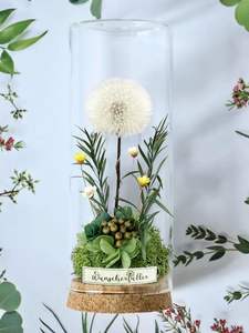 AYOYO Flor Eterna, Diente de León en Botella de Cristal, Adorno, Regalo, Flor Seca, Flor Auténtica, Regalo para el Día del Maestro, San Valentín 2026 - Product Image 2