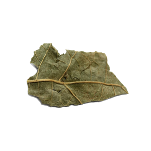 Feuilles de mûrier cueillies à la gelée, fourniture d'usine, pour le thé santé du sucre sanguin et comme matière première pour les tranches chinoises - Product Image 2