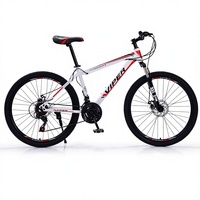 Vélo de Montagne en Gros à Prix Abordable, 24 et 26 Pouces, Suspension, Frein à Disque, VTT à Vendre